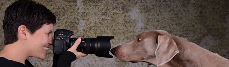 10 tips for photographing your pets